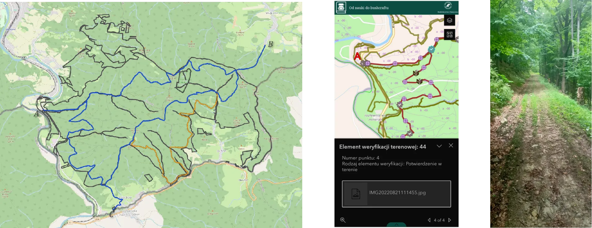 Educational path route options and web application